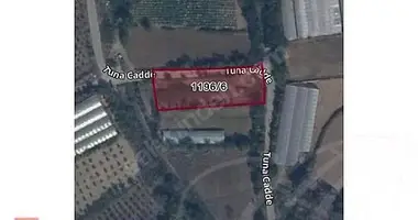 Parcela en Lacin, Turquía