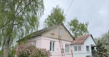Haus in Barauljany, Belarus