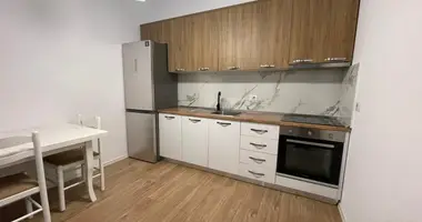 Квартира 1 комната в Тирана, Албания