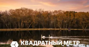 Участок земли в Беларучский сельский Совет, Беларусь