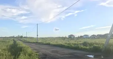 Plot of land in Holmogorovka, Russia