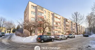 2 bedroom apartment in Minsk, Belarus