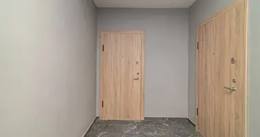 Wohnung 2 zimmer in Bajorai, Litauen