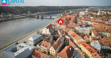 Propriété commerciale 350 m² dans Kaunas, Lituanie