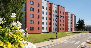 Квартира 1 комната в Бауска, Латвия
