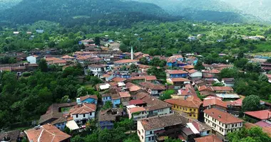 Особняк 7 комнат в Йылдырым, Турция
