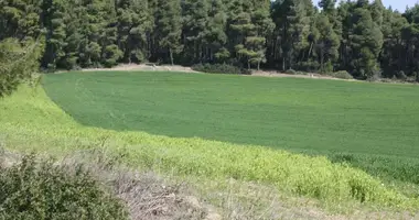 Plot of land in Kriopigi, Greece