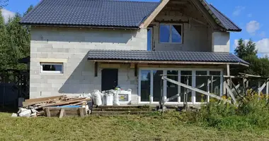 Dom w Zodzinski sielski Saviet, Białoruś