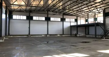 Entrepôt 2 700 m² dans Leninsky District, Russie