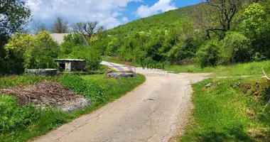Terrain dans Meander I, Monténégro
