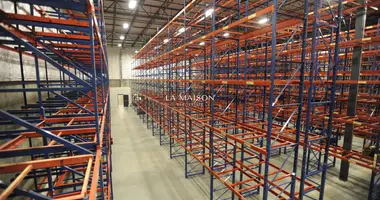 Magazyn 7 400 m² w Dali, Cypr