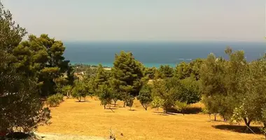 Plot of land in Kassandra Municipality, Greece