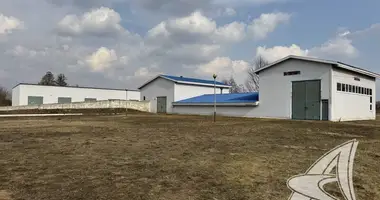Produktion 1 460 m² in Vielikarycki sielski Saviet, Belarus