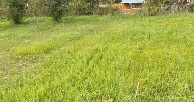 Участок земли в Дещенский сельский Совет, Беларусь