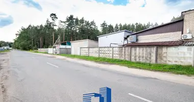 Производство 800 м² в Лесковка, Беларусь