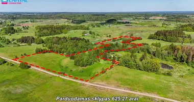 Działka w Namaliskiai, Litwa