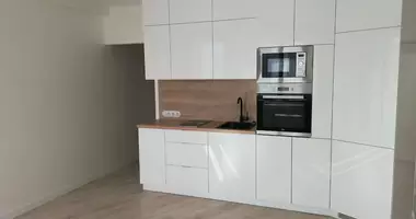 1 room apartment in Minsk