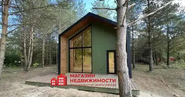 House in Padlabienski sielski Saviet, Belarus