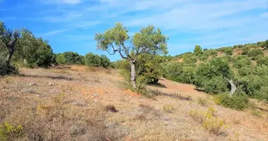 Terrain dans Nikiti, Grèce