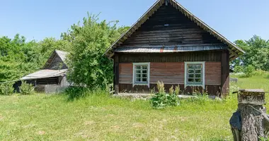 Haus in Didieji Medininkai, Litauen