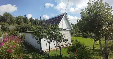Plot of land in Dziamidavicki sielski Saviet, Belarus