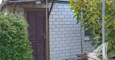 House in Matykalski sielski Saviet, Belarus