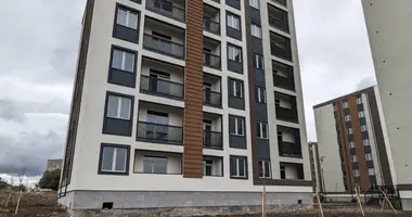 3 bedroom apartment in Tbilisi, Georgia