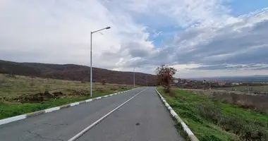 Apartment in Kosharitsa, Bulgaria