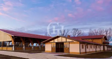 Villa 20 rooms in Pralboino, Italy