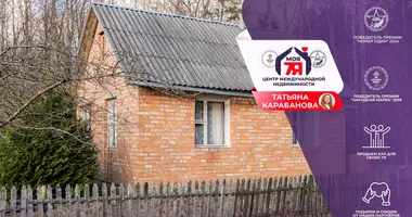 House in Dziescanski sielski Saviet, Belarus