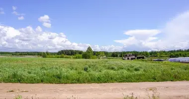 Terrain dans Paezerys I, Lituanie