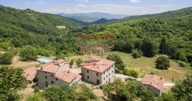 Propiedad comercial 1 000 m² en Caprese Michelangelo, Italia