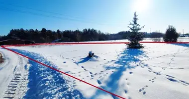 Grundstück in Druscheniken, Litauen