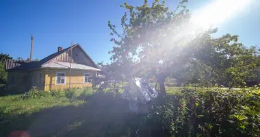 House in Ilyanskiy selskiy Sovet, Belarus