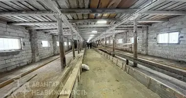 Склад 852 м² в Каменский сельский Совет, Беларусь