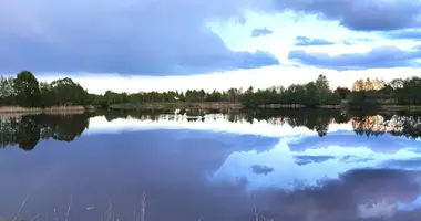 Terrain dans Uzusaliai, Lituanie