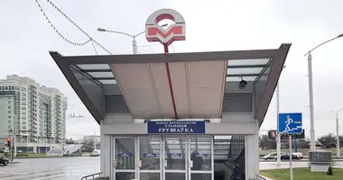 1 bedroom apartment in Minsk, Belarus