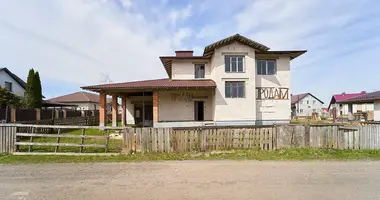 House in Dziamidavicki sielski Saviet, Belarus