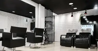 Propriété commerciale 155 m² dans Barcelone, Espagne