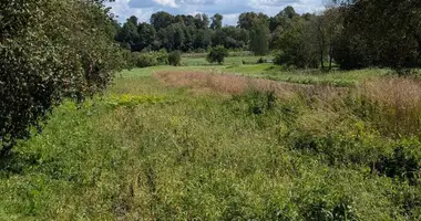 Plot of land in Novy Dvor, Belarus