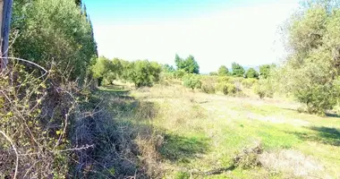 Plot of land in Nikiti, Greece