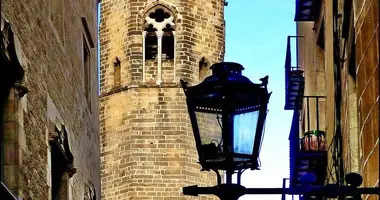 Residential Building in Barcelona (Gothic Quarter)! in Barcelona, Spain