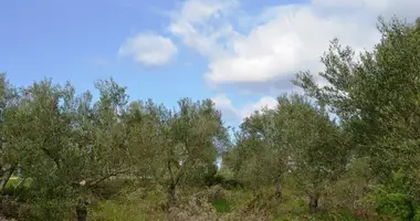 Plot of land in Kriopigi, Greece