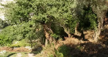 Parcela en Rijeka Rezevici, Montenegro