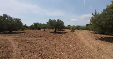 Terrain dans Municipality of Sithonia, Grèce