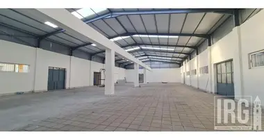 Lager 1 000 m² in Tirana, Albanien