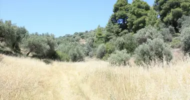 Terrain dans Neos Marmaras, Grèce