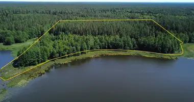 Parcela en Svencioniu rajono savivaldybe, Lituania