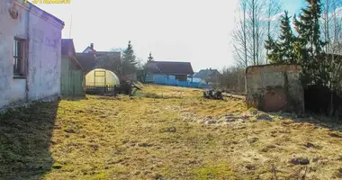 Haus in Svir, Belarus