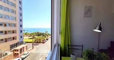 Mieszkanie 1 pokój w Torrevieja, Hiszpania